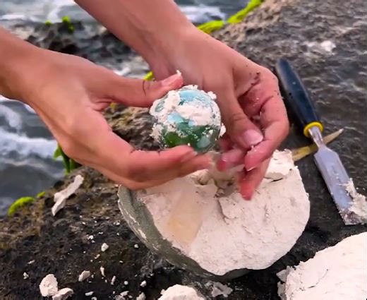 Treasures from the deep: Crafting with ocean finds