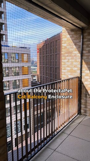 9.4K views · 115 reactions | ProtectaPet Cat Balcony Enclosures are back ❤️ It’s the perfect way to keep your cats safe if you live in an apartment or flat  https://protectapet.com/collections/cat-balconies/products/protectapet-cat-balcony-framed-enclosure-kit #cats #catbalcony #apartment | ProtectaPet | Facebook
