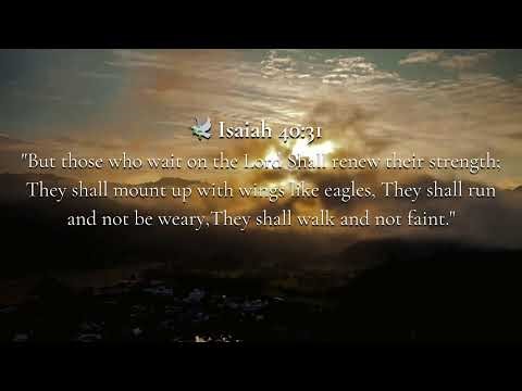 Bible Scriptures + Peaceful Worship Music | 8-Hour Instrumental Stream for Sleep, Prayer & Peace