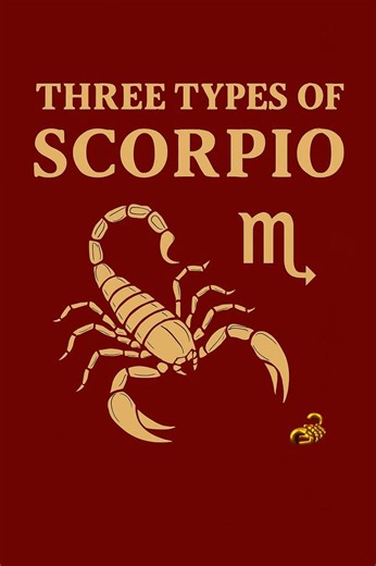 Three Types of Scorpio 🦂♏! | Scorpio Zodiac