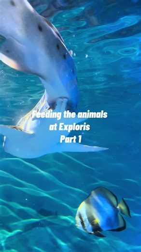 Exploris Aquarium on TikTok