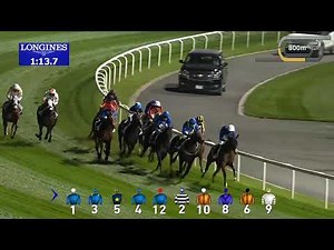 Race 4 Meydan Trophy Sponsored By Friday