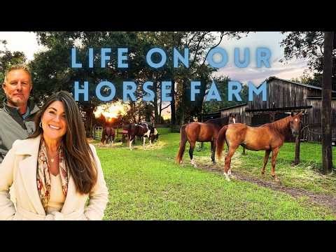 Horse Care Routine on Our Farm 🐴 Feeding, Fly Masks & Morning Chores