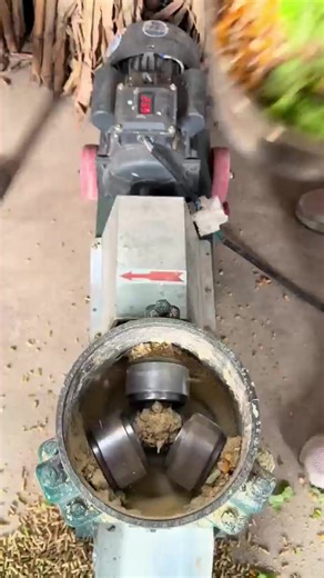 Understanding 220V Voltage Model Usage