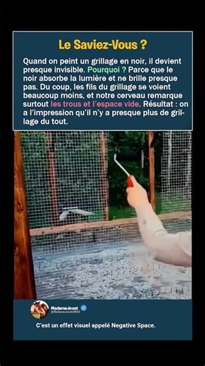 Pourquoi ce grillage devient presque invisible ?