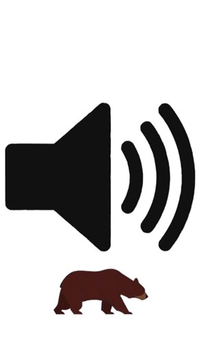 Bear Sound Effects | Amazing Bear Effects | bear