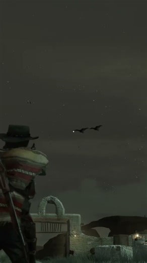 Red Dead Redemption: Master Bird Hunter #rdr2 #gaming #rdr #xbox #playstation #reddeadredemption