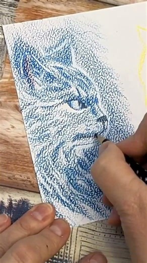 From Lines to Fire vs Ice Cats