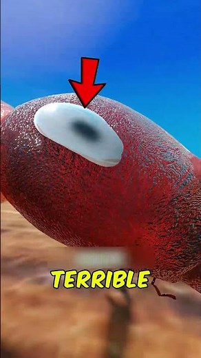 Why Ants Get Confused by a Simple Ink Circle #shorts #3danimation #ants