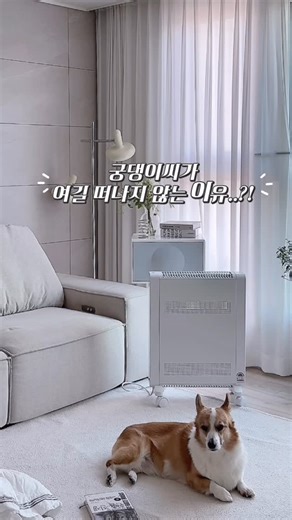 @luv_sso2 on Instagram: "#협찬 요즘 진짜 찬바람 너무 심하죠…🥶 저는 이번에 이동식 보일러 ‘웰핀 에어히터 프로’ 써봤는데 와… 이거 켜자마자 3초 만에 따뜻해지는 거 실화냐구요🔥 저희집 인테리어에도 잘 어울리고✨ 특히 웰핀은 불이 없어서 안전하고 히터 특유의 냄새나 바람 소음, 건조함도 없어요! 진짜 조용해서 따뜻하게 휴식을 취할 때도 방해 안되요-(약 10dB 👂) 궁댕이씨도 멀찍~이 떨어져서 따뜻한 공기 느끼면서 그대로 골아떨어짐ㅋㅋ 🐶💛 일반모드 50도로 1~2시간 돌리면 금방 따뜻해지고 그다음엔 에코모드로 유지하면 더 경제적이에요. 에코모드 기준 하루 8시간 사용 시 약 1,200원대! (⚠️ 전기사용환경·누진세 따라 금액 달라질 수 있어요!) 그리고 24시간 예약 난방 기능 있어서 원하는 시간에 딱! 켜지니까 아침에 일어나자마자 따뜻해서 너무 행복해요🧡 요즘 히터 고민 중이면 👉 웰핀 에어히터를 포털사이트에서 검색해보세요~ 이건 진짜 써본