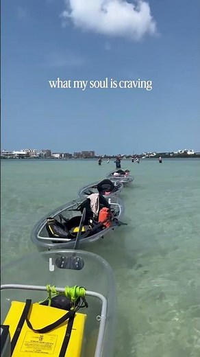 Things to do in Clearwater: Take a relaxing guided clear kayak tour near Clearwater Beach FL!
