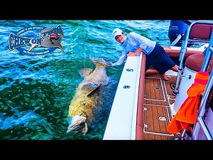KIDS FISHING Show Compilation Videos # HAMMERHEAD SHARK + BIG Fish GOLIATH GROUPERS