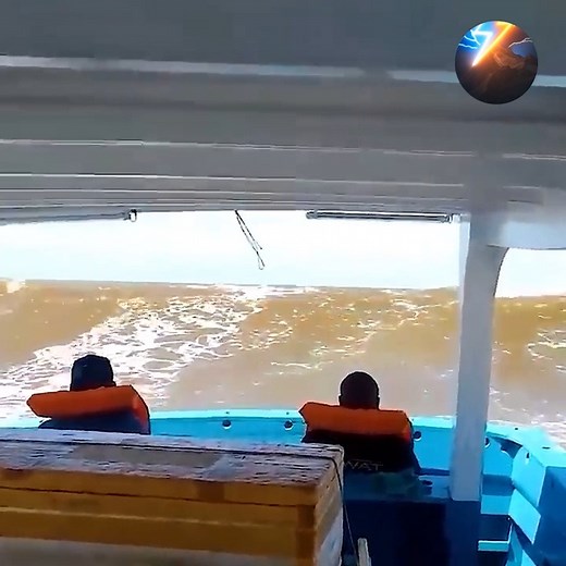 40K views · 542 reactions | Incredible Moments Caught on Camera | Best Of 2025 #94 | Unexpected Nature | Facebook