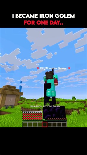 I became iron golem..