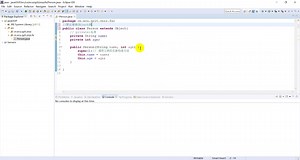 5.Java程序用于显示人的姓名和年龄
