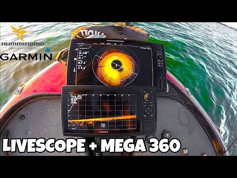 Mega 360 + Livescope is a DEADLY Combo for Offshore Fish