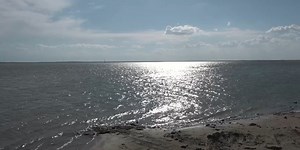 Possible solutions for Falcon Lake’s low water level