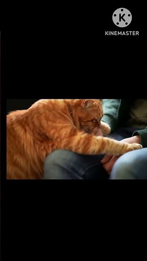 Thomas The Emergency Cable - Full Episode | Thomas & Friends | Season 18