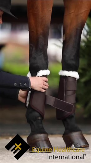 Unwrap peak performance with the ProSeries Sport Boots from Equine Healthcare International – where innovation meets protection for your horse’s ultimate performance. 🎁✨ #EquineExcellence #ProSeries #PerformanceProtection