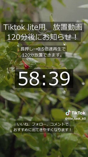 今日のタスク消化に使える 60分タイマー 第92弾！ 【TikTok Lite ポイ活】120分放置用動画（完全無音＆黒画面・タイマー付き） TikTok Liteの「動画視聴ミッション」を楽に達成できる放置動画です！ 完全無音＆黒画面で、作業中や睡眠中でも安心して再生できます。 【120分再生方法】 1. 動画画面を長押し 2. 「再生速度」をタップ 3. 「0.5×」を選択 #60分放置 #無音 #省エネ #動画視聴タスク #ポイ活 #タイマー #TikTokLite #投稿でゲット #効率化 #作業効率化