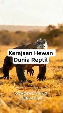 Kerajaan Hewan Dunia Reptil | Mengenal Reptil Paling Unik dan Menakjubkan di Bumi 🐍🦎🐊