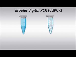 PCR digital | | UPV
