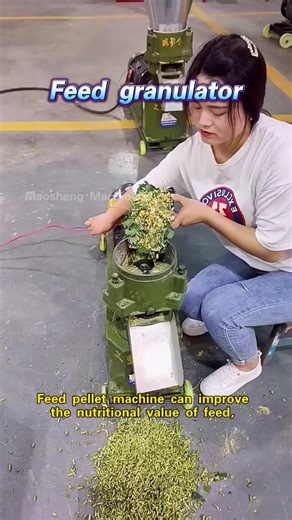 Feed granulator#feedgranulator #Environmental #breed #forage #fyp