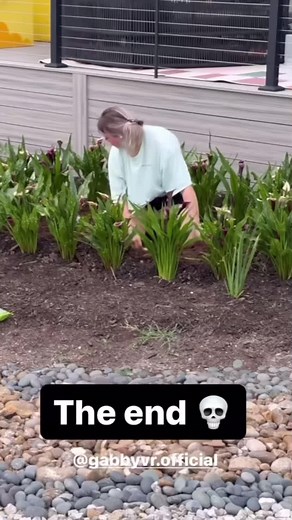 Gabby's Gardening Adventure: Planting Plants and Blooming Flowers