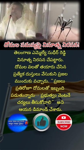 #Hyderabad #MosquitoProblem #SudheerReddy #TelanganaPolitics#youtubegrowth #youtubetips #short #yt