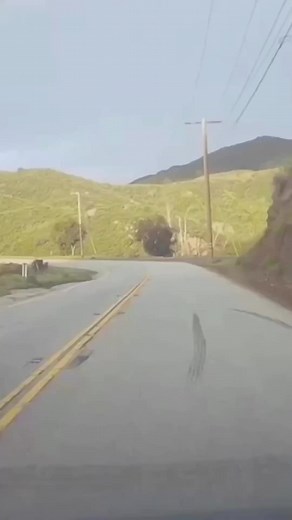 23K views · 374 reactions | Dash Cam Fails on Reels | Facebook