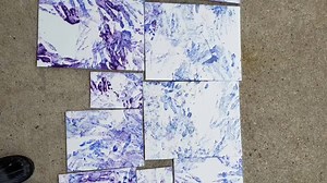 21K views · 1.2K reactions | Keepers at the Saint Louis Zoo work to...