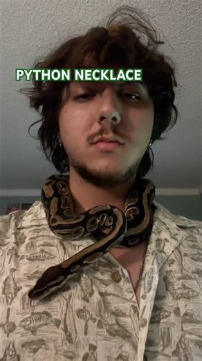 NEW SNAKE NECKLACE #shorts