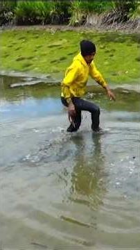 hand speed catching crabs in water