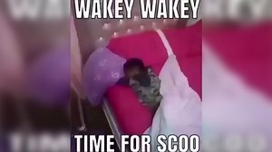 Wakey Wakey it's Time for School | Know Your Meme