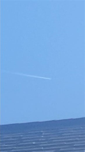 elmo world picnic baby