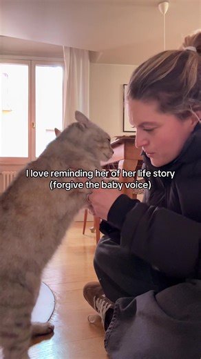 A Heartwarming Life Story of a Happy Dog