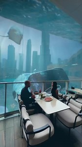 Random Facts that will make you think. #randomfacts #interestingfacts #interesting #needtoknow #facts #amazingfacts #satisfying #fyp #reels #reelsfb | Zion Tucker