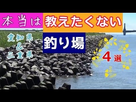 愛知県&三重県の釣り場紹介・釣り初心者におすすめ／クロダイ、シーバスルアー釣り、ハゼ釣りちょい投げ向けの超穴場