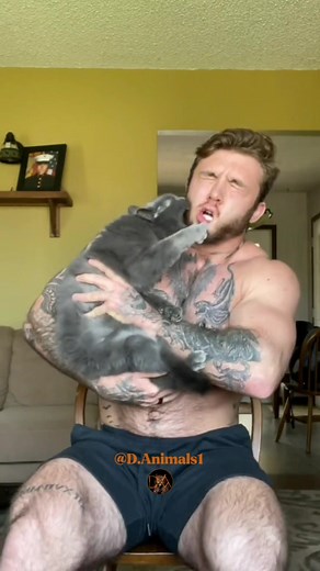 I would make hin in microwave #cats #cat #agressivecats #kante #katzen #chat #chats #القط #القطط #wildlifeanimals #animals #aminebelhouari | My Petsie