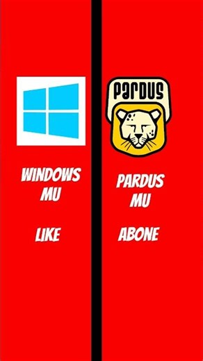 windows vs pardus