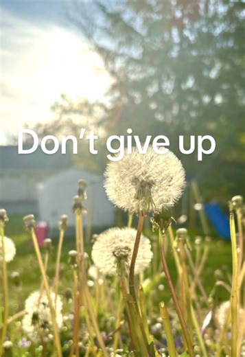 Cooking Tips and Motivation to Never Quit