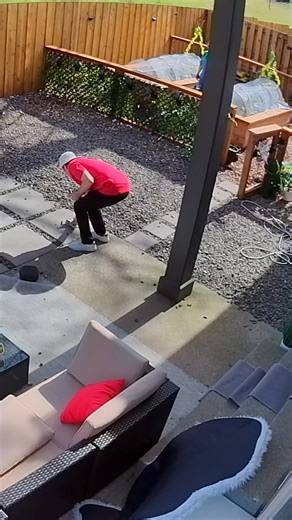 Our Dogs ESCAPED The House And RAN AWAY! #funny #prankvideo #laugh #jokes #comedy #reelsfb #videos #viralvideo #prank #fyp #viralreels #viral #talkingdog #couples #fblifestyle | Robby and Penny