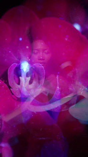 Exploring the Glowing Garden: A Bioluminescent Wonder