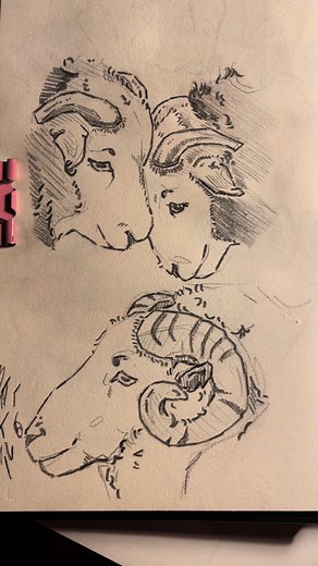 Sheeps🐏!! Was gonna draw a third one at the top of the page but couldnt be assed 😭 anyway finnaly cut down my hours at work so i should be able to draw/post more ( gonna be so fr thats probably not gonna happen tho) !! ##art##artist##sketchbook##sketch##ineedmotivation##sheep##ram##sheepareaccuallyreallycool