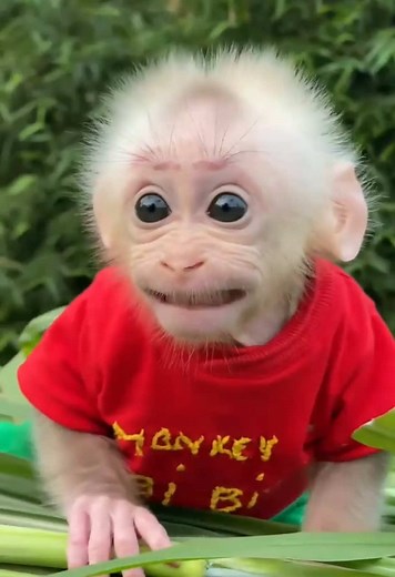 cute farm squad on TikTok