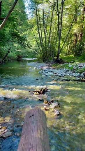 Rushing Creek in Big Sur | Relax with Water Sounds