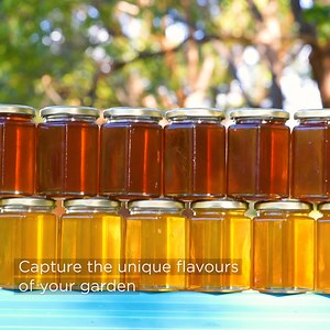 12K views · 393 reactions | Flow Hive honey is incredible   Not only is the honey raw and unprocessed, but, because you can harvest individual frames you can isolate and taste the unique seasonal flavours of the flowers the bees have visited   | Flow Hive | Facebook