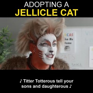 The Jellicles have a hard time finding furever homes, who knows why? Maybe a song will help! | CollegeHumor