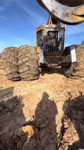 15 reactions | Putting the hook back on the cable. #logging #tigercat #forestry #win... | Jazlyn Smith | Facebook