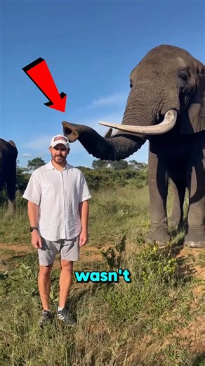 Nobody Expected the Elephant to Do This 😳